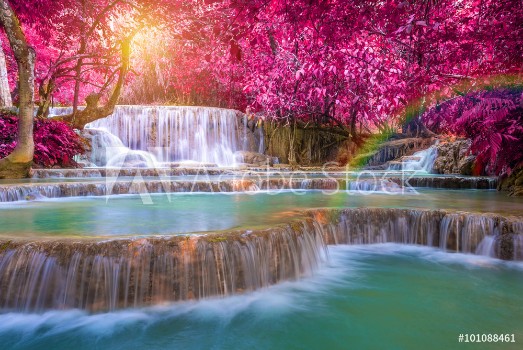 Bild på Waterfall in rain forest Tat Kuang Si Waterfalls at Luang praba